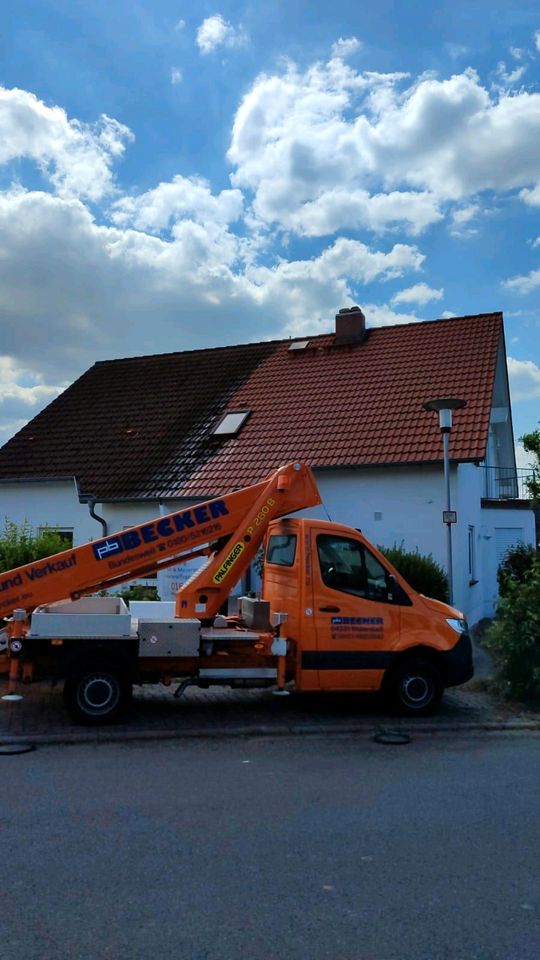 Dachreinigung und Steinpflege 30% Rabattierung auf dachreinigung in Dieburg