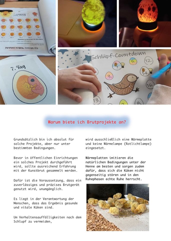 Brutprojekt, vom Ei zum Küken in Schule oder KiTa in Nottuln