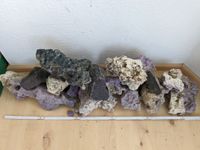 Kalksteine / Dekosteine für Aquarium Rheinland-Pfalz - Mommenheim Vorschau