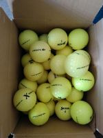 Verkaufe 100 Stück Srixon Z-STAR Golfbälle in Gelb Nordrhein-Westfalen - Iserlohn Vorschau
