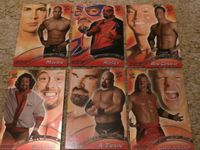 WWE Wrestling Sammelkarten RAW 2004 Topps Sachsen-Anhalt - Halberstadt Vorschau