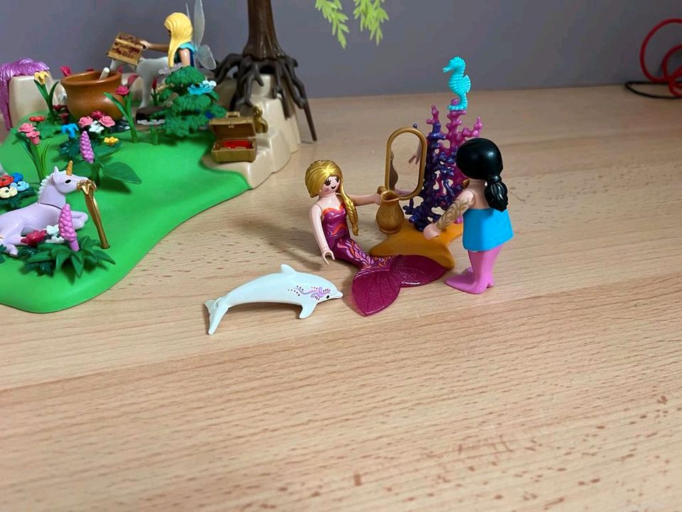 Playmobil Feeninsel in Erxleben (bei Haldensleben)