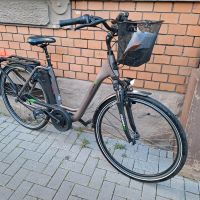 E-Bike Prophete Geniesser 20.EMC.10 bj 2021 Rheinland-Pfalz - Ludwigshafen Vorschau