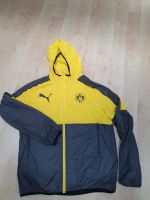 Bvb Borussia Dortmund Jacke Puma M Nordrhein-Westfalen - Hagen Vorschau