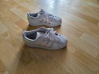 adidas Superstar gr 36 Dresden - Leuben Vorschau