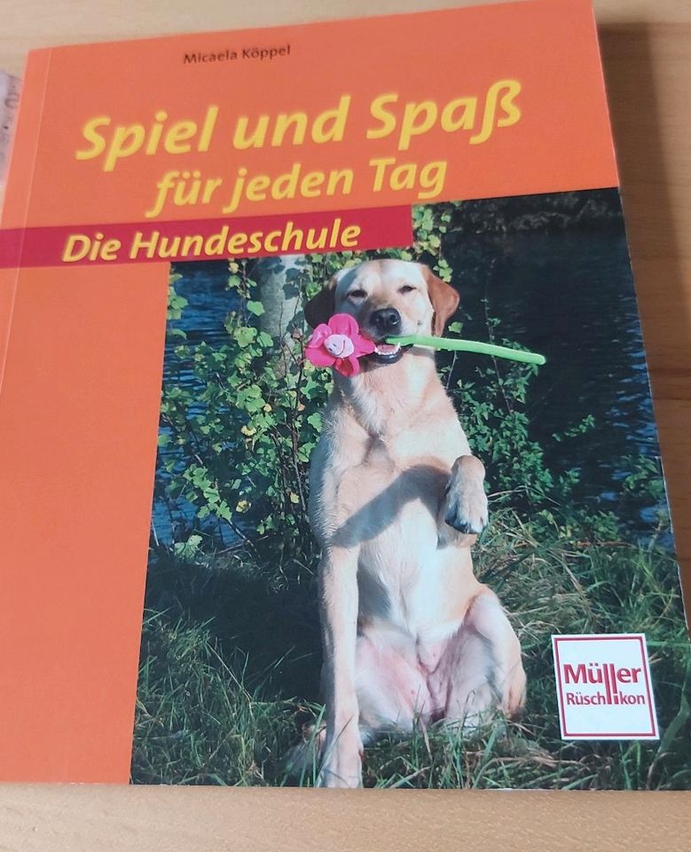 Die Hundeschule in Weil am Rhein