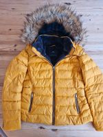 Winterjacke Daunenjacke Zara Größe XL Findorff - Findorff-Bürgerweide Vorschau