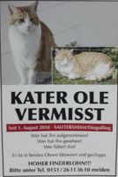 KATER OLE VERMISST!!!!!!!! Bayern - Dingolfing Vorschau