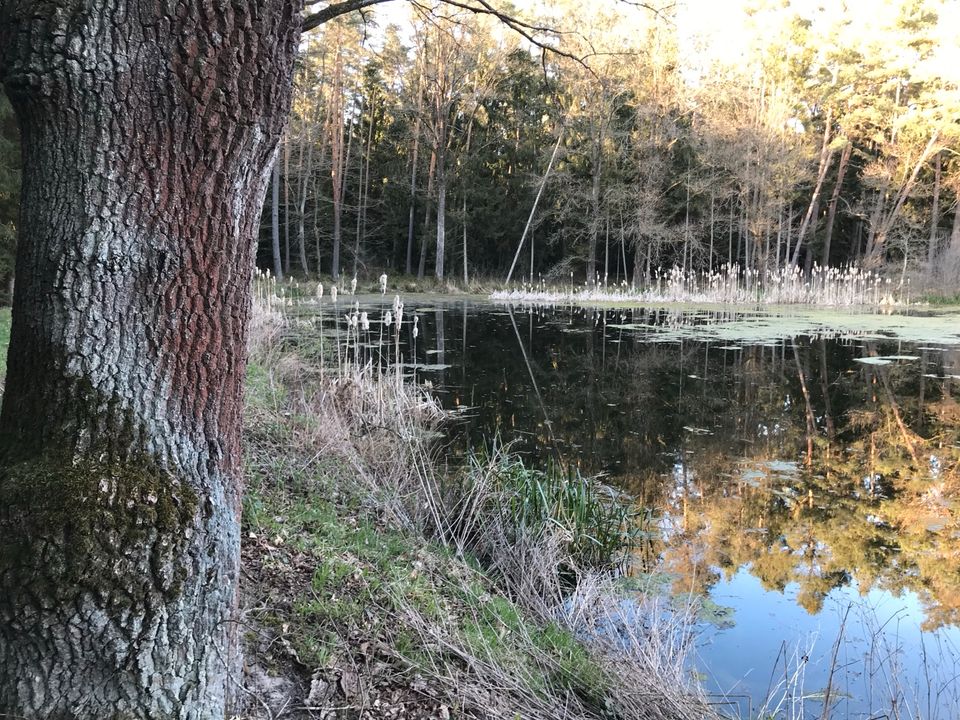 Wochenendgrundstück am kleinen Bachlauf für Naturliebhaber. in Gunzenhausen