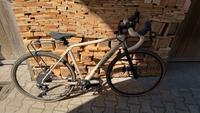 Canyon Grail / AL / M Bayern - Haag in Oberbayern Vorschau