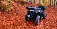 SMC Online X9.1 (kein CanAm, Polaris, TGB, CF Moto) Quad ATV Bayern - Weiden (Oberpfalz) Vorschau