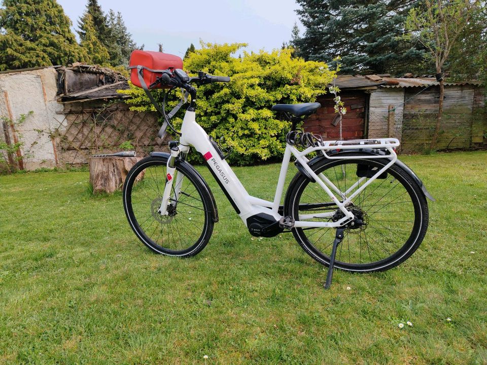 E-bike Pegasus in Welzow