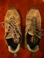 Trekking Schuhe Damen Gr. 39 Jack Wolfskin Dresden - Cossebaude Vorschau