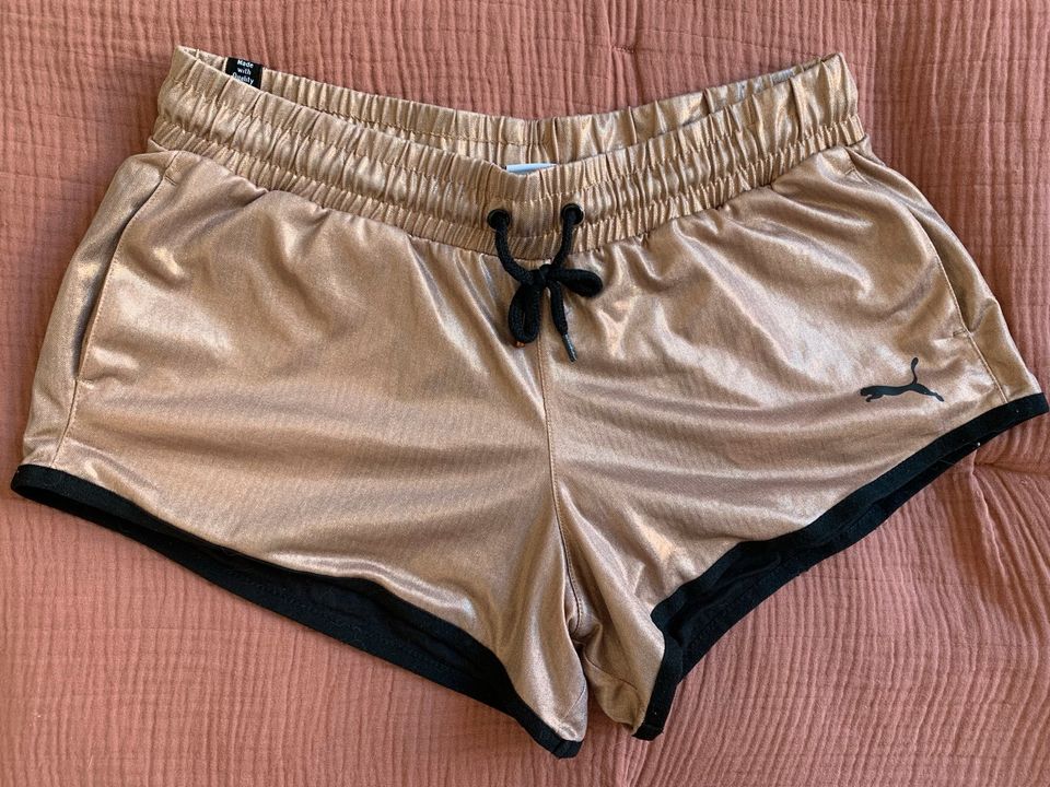 PUMA Shorts rosé Gold 36 / S in Bremen