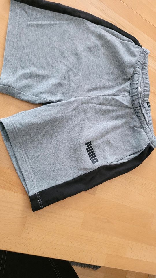 Jetsey Shorts von Puma Gr. 176 zu verkaufen in Holzminden