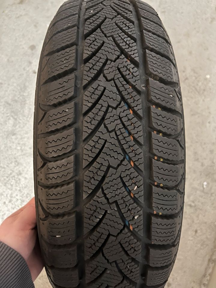 1 Winterreifen Platin RP60 175/65 R14 82 T (wenig gefahren) in Dresden