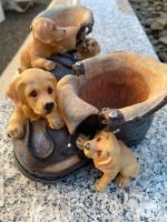 4 LETZTE Pflanzschuhe mit süßen Hunden ,je 8Euro /Poly Resin Schwarzatal - Oberweißbach Vorschau