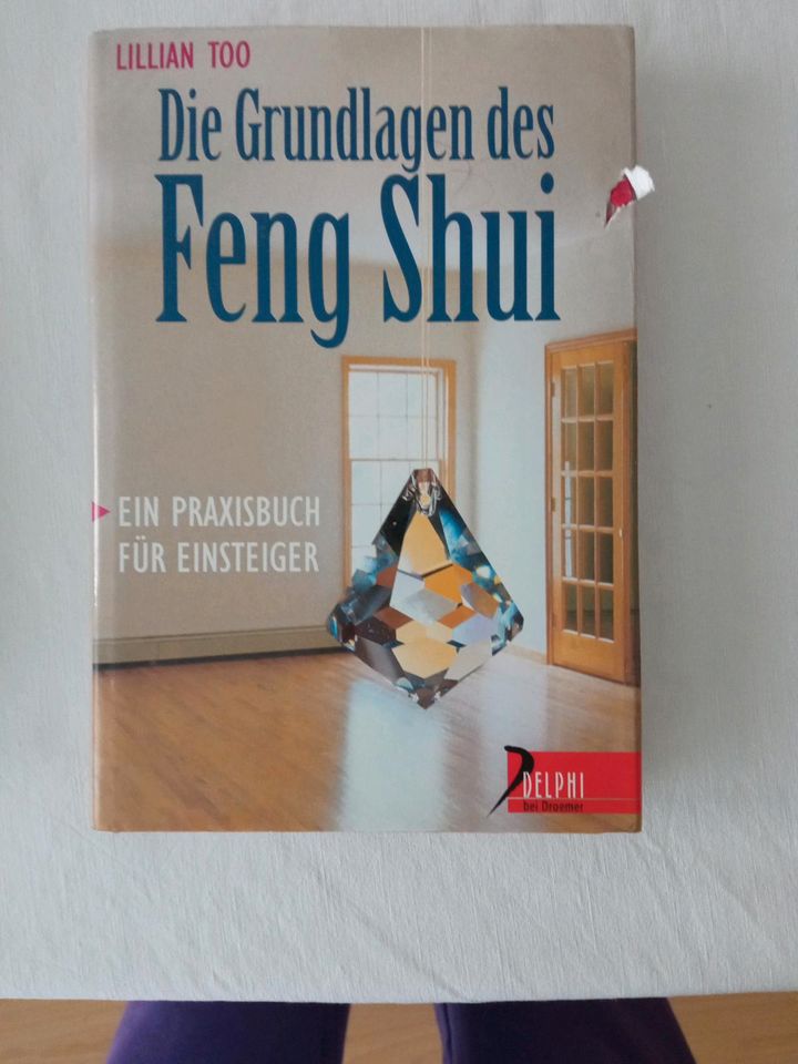 Feng Shui Lilian Too, Kasemann, Lazenby, Nollau in Düsseldorf