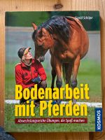 Bodenarbeit mit Pferden KOSMOS Sachsen - Frankenberg (Sa.) Vorschau