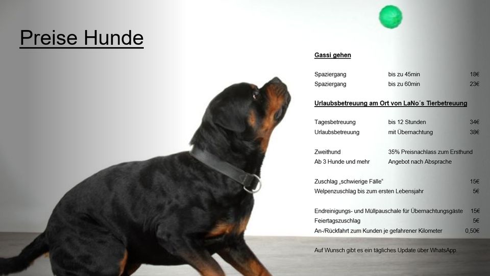LaNo's Tierbetreuung Urlaubs-/Tages- Betreuung/Gassigehen in Eberdingen