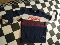 Puma Pullover Sweatshirt Gr. M Nordrhein-Westfalen - Porta Westfalica Vorschau