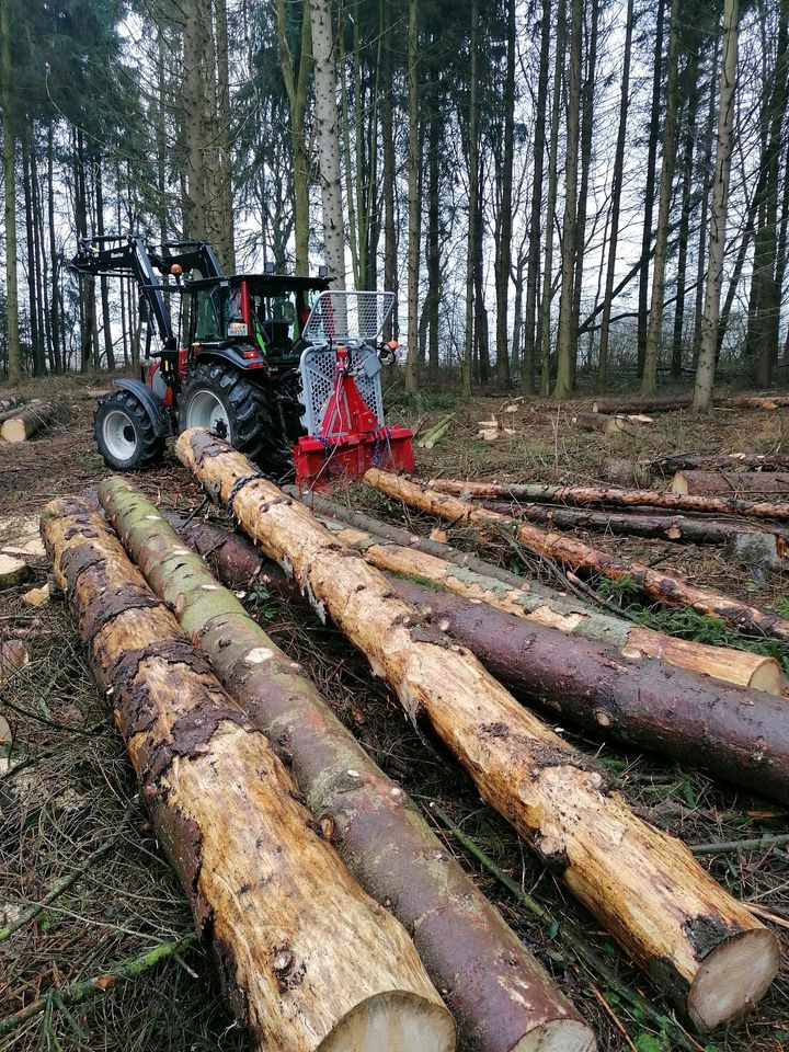 Holztransport, Holzrücken, Stammholz in Eppendorf