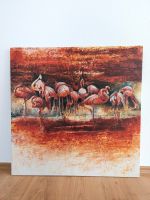 Bild 80 x 80 Flamingos, Top! Baden-Württemberg - Starzach Vorschau