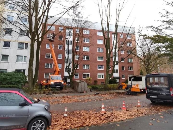 Baumfällung Sturmschaden Beseitigung Baumpflege Entsorgung in Hamburg