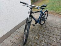 Fahrrad Everest - 26 ZOLL - Schwarz/Blau - Cross- & Trekkingrad Baden-Württemberg - Leonberg Vorschau