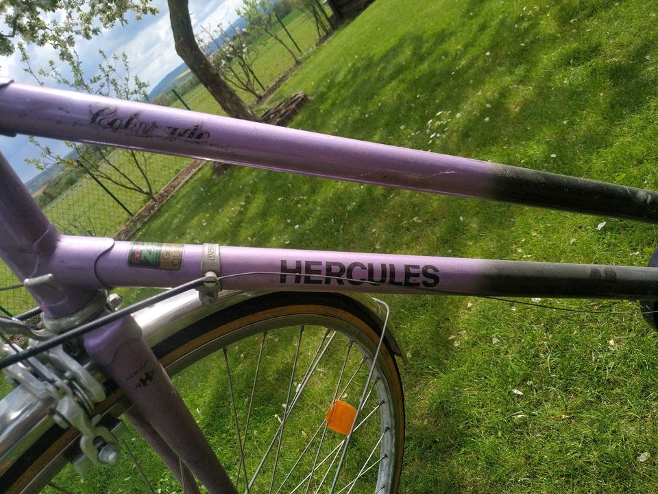 Hercules Fahrrad. Damenrad City Urban in Hessisch Oldendorf