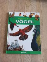 Buch "Wissen ist stark- Vögel" neuwertig Hessen - Volkmarsen Vorschau