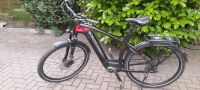 Herren E-bike Flyer Niedersachsen - Wilhelmshaven Vorschau