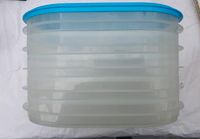 Tupperware A19 Frischekabinett 5x 700ml plus Deckel Rheinland-Pfalz - Ober-Flörsheim Vorschau