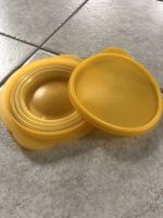 Tupperware Schüssel faltbar 700ml neu Niedersachsen - Handorf Vorschau