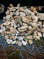 Steine, Mauersteine, Beetsteine, Randsteine zu verschenken Nordrhein-Westfalen - Steinhagen Vorschau