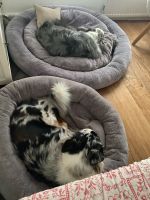 Sabro snuggle Hunde Bett grau Nordrhein-Westfalen - Solingen Vorschau