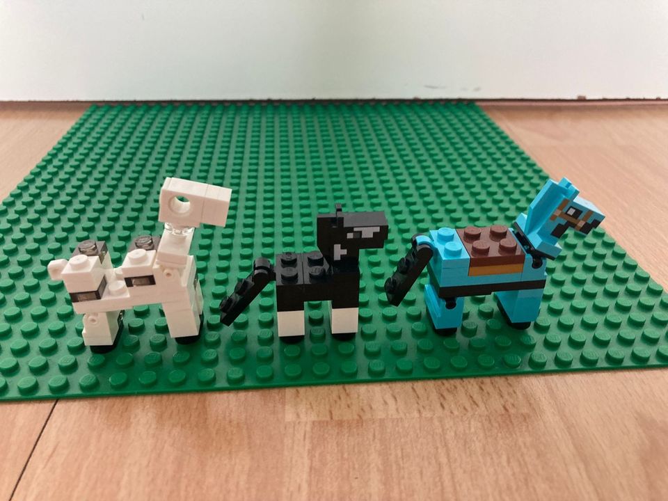 Lego 21171 Minecraft Der Pferdestall in Embsen