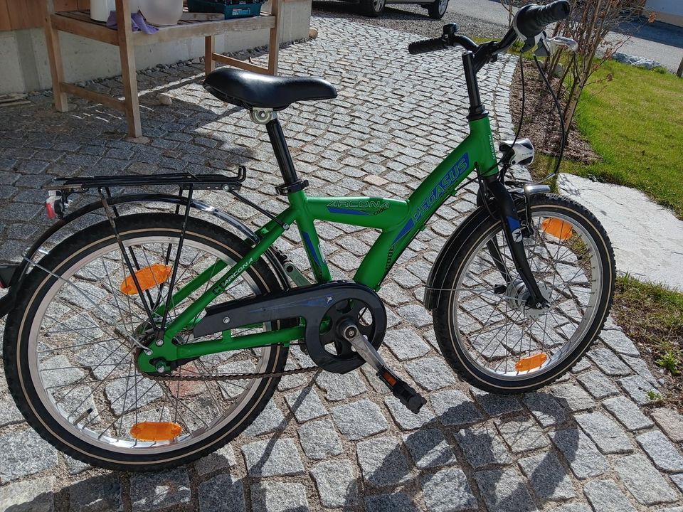 Pegasus Kinder Fahrrad - Kinderrad - Reifen 16Zoll - 28cm Rahmen in Peiting