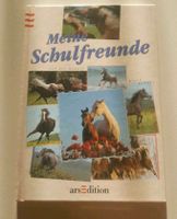 Meine Schulfreunde - Pferde - Erinnerungen - neu Baden-Württemberg - Nattheim Vorschau