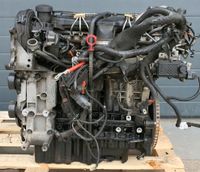 VOLVO V60 V70 XC90 2.4 D5 D5244T D5244T4 MOTOR KOMPLETT Nordrhein-Westfalen - Leverkusen Vorschau