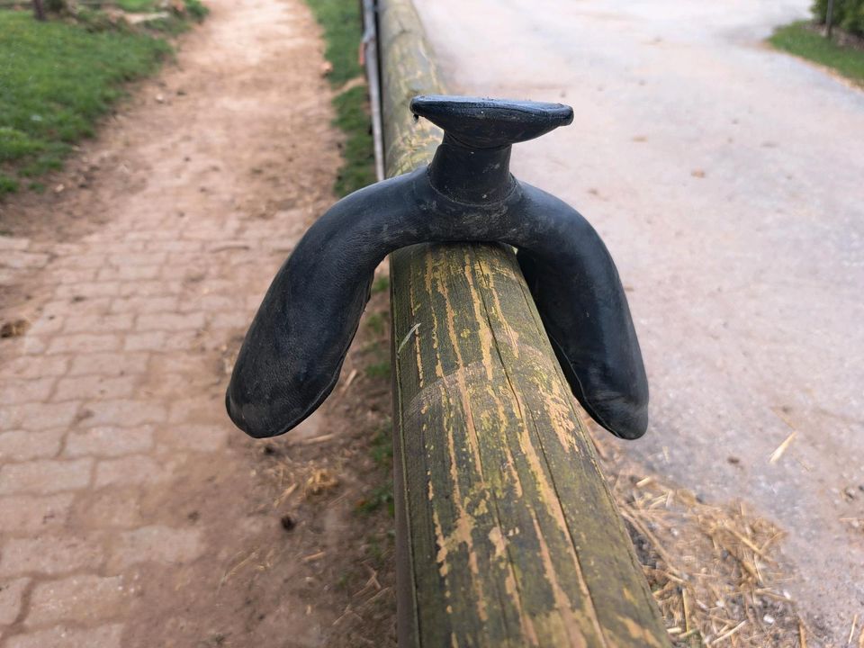 Austausch Fork, für Barefoot Sattel in Königstein