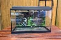 Aquarium 60x30x36 mit Zubehör Münster (Westfalen) - Angelmodde Vorschau