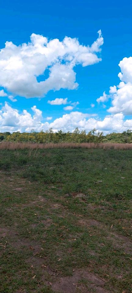 10,75 Hektar Grundstück in Yatayty/Guaira/ Paraguay in Burkhardtsdorf