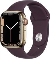 Apple Watch Series 7 41mm Gold Steel Case Dark Cherry Sport Band Hessen - Offenbach Vorschau
