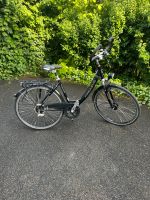 Pegasus Milano GT Fahrrad Baden-Württemberg - Sulz Vorschau