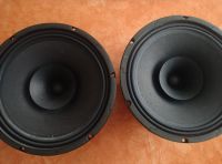 Bass Speaker von EDEN Sachsen-Anhalt - Sangerhausen Vorschau