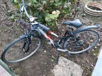 Verkaufe Fahrrad wie neu Rheinland-Pfalz - Neuwied Vorschau