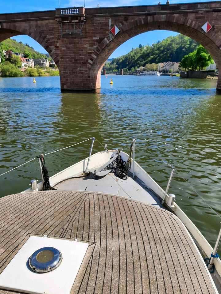 Motorboot Pedro 950 in Heidelberg