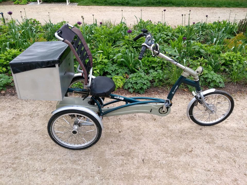Gebrauchtes Van Raam Easy Rider mit Box Dreirad, Therapierad in Dresden
