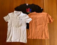 3 T-Shirt/Polo Jungen Gr. 158/164 Adidas, H&M, Zara Baden-Württemberg - Reutlingen Vorschau